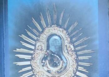 Cuda Eucharystyczne, Joan Carroll Cruz