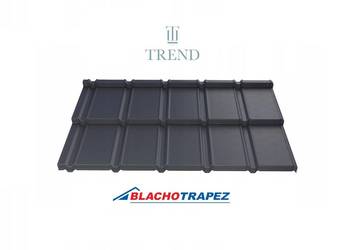 Blachodachówka 2 modułowa TREND MAT TK Blachotrapez (kolory)