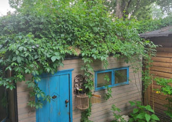 MIESZKANIE NA SPRZEDAŻ | 3 pokoje (54,6m²), wyremontowane, ogród (180m²), …