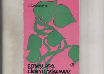 Pnącza doniczkowe
