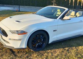 Ford Mustang GT 5.0 V8 Convertible kabriolet cabrio, 2019r.