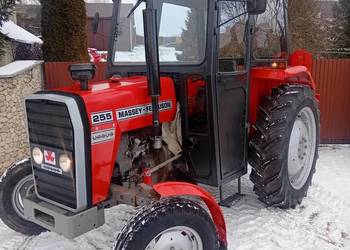 URSUS MF 255 jak 3512 ; 3p