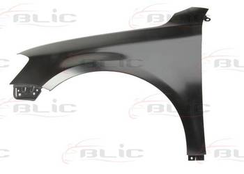 BŁOTNIK PRZEDNI LE/PR - VW PASSAT 07/10->