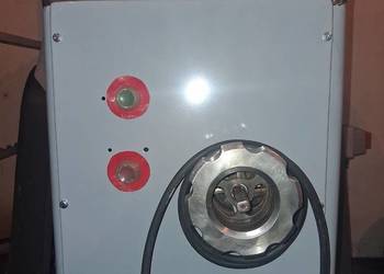 Wilk 82 miesa spomasz