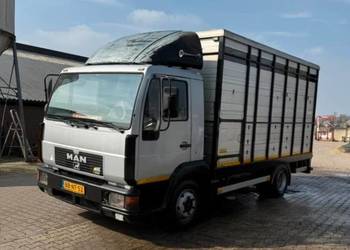 MAN L2000 do transportu, przewozu żywca bydła zwierząt