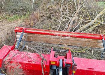 Czyszczenie działek