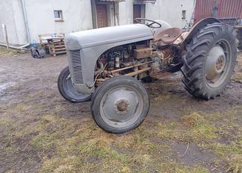 Sprzedam Fergusona TEA 20 w dobrej cenie