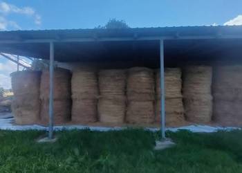 Sprzedam Siano i Słomę Żytnią, Owsiankę. 120/120