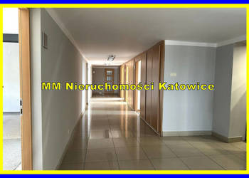 Biura do wynajęcia Katowice - OGRZEWANIE I DUŻY PARKING GRATIS!