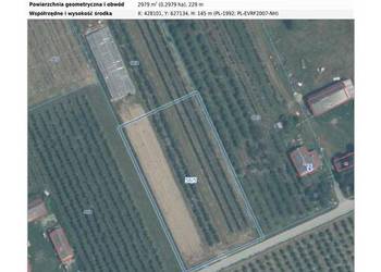 Duża działka rolno-budowlana 2982 m² | Asfalt i Prąd | Lisów, gmina Promna