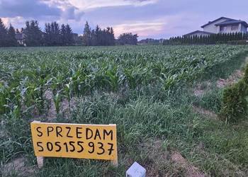 Działka budowlana 12ar (25m front) przy szosie Zemborzyce Zalew blisko