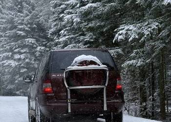 Transport przewózki