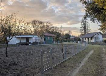Działka ROD Szczytniki k. Poznania