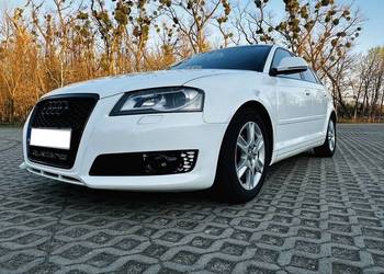 Audi A3 8P 2.0 TDI 170 QUATTRO