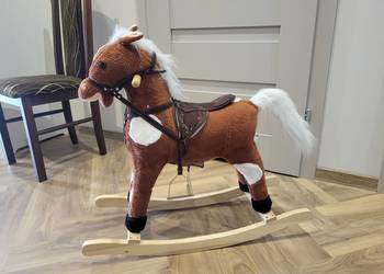 Konik na biegunach grający