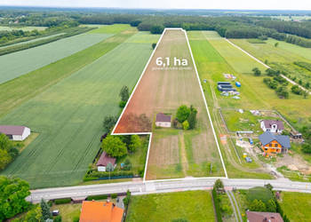 Siedlisko z lasem i łąką - Zawady gm. Kampinos