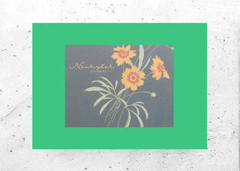 kwiatki plakat A4, plakat z roślinami, botaniczny plakat vintage obrazek