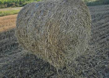 Sprzedam Słome żytnią
