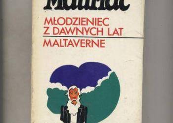 Młodzieniec z dawnych lat   Maltaverne