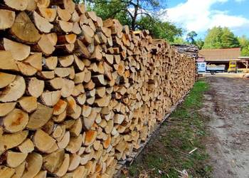Suche Drewno Kominkowe Stęszew | Dostawa | LDO Andrzejewski
