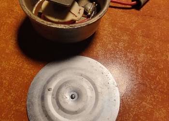 Sygnał komar sztywniak