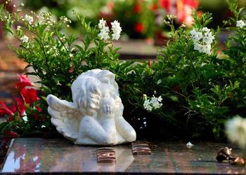 Ile kosztuje całoroczna opieka nad grobem we Wrocławiu, Cmentarz Osobowice