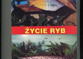Życie ryb - Hesse , Przybyszewski
