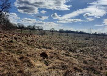 Syndyk sprzeda nieruchomość gruntową w Dęblinie