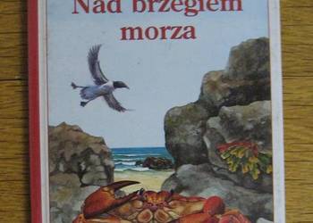 Odkrycia Stasia - Nad brzegiem morza