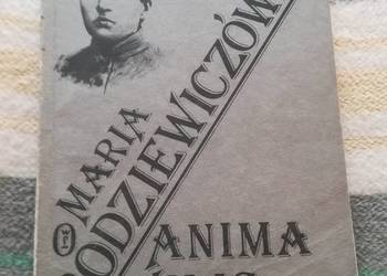 Anima Vilis - Maria Rodziewiczówna