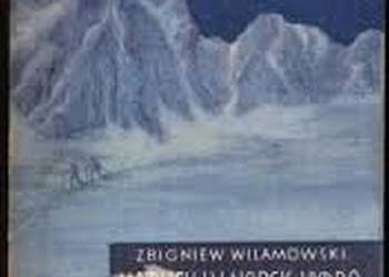 ŻÓŁTY TYGRYS - WYBUCH W NORSK-HYDRO - WILAMOWSKI Z.