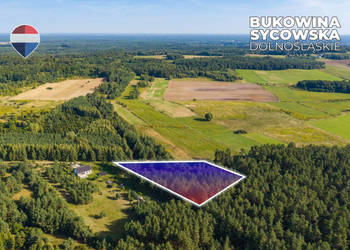 Działka leśna pow. 29.600 m², Bukowina Sycowska