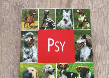 Album Książka PSY
