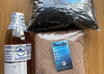 Olej Corena P-150 i sito i węgiel do sprężarek powietrznych