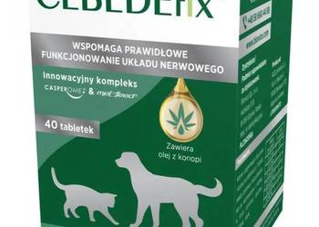 BIOVICO CEBEDEfix 40 tabletek dla psów i kotów bardzo skuteczny