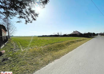 Działka Gomulin 16400m2