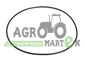 828/00331, 828-00331 USZCZELKA HAMULCA JCB