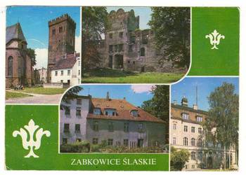 ZĄBKOWICE ŚLĄSKIE WIELOWIDOKOWA 1