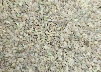 Seradela z sezonu 2025 15 t