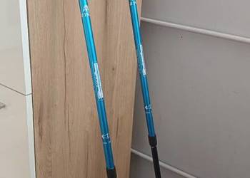 Kijki do nordic walking