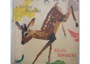 Rogaś z Doliny Roztoki - Kownacka Maria