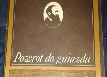 Powrót do gniazda - Józef Ignacy Kraszewski