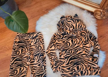 Dres tygrysek z uszkami bluza spodnie zestaw r.110