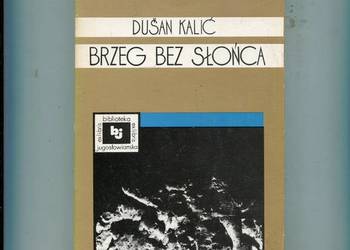 Brzeg bez słońca - Duśan Kalić