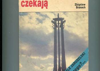 Grudniowe wdowy czekają - Branach