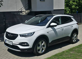 Opel Grandland X 1.2 Benzyna | Serwisowany | Gwarancja | Bogate wyposażeni…