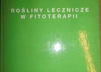 Rośliny Lecznicze w Fitoterapii - Borkowski Bogusłąw