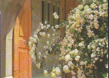 Kartka z pozdrowieńiami z Austrii 1983 Kartka z pozdrowieńiami z Austrii 1983