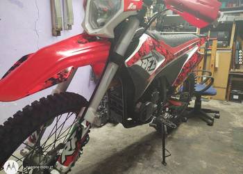 Apollo RFZ 250 2019