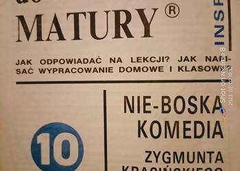 Nie boska komedia romantyczna Krasińskiego analizy literatur Nie boska komedia romantyczna Krasińskiego analizy literatur